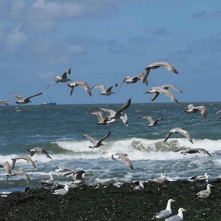 In Near Prázdninový dům *