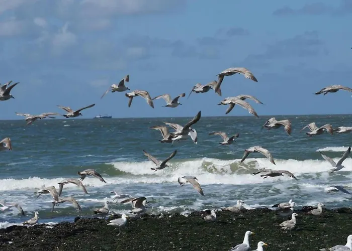 In Near Дом отдыха *